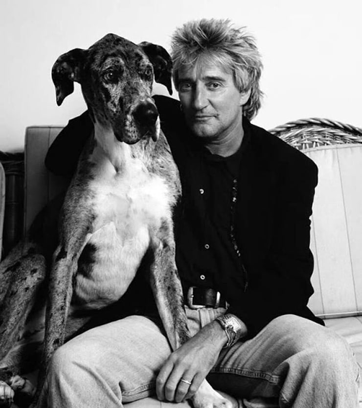 Rod Stewart