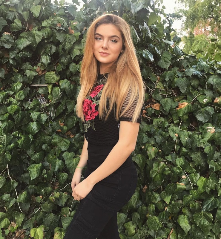 Brighton Sharbino