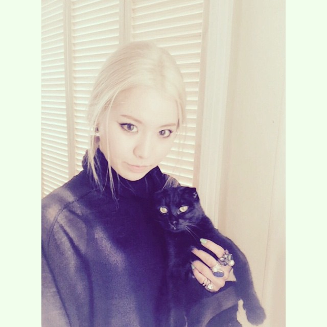 Lim Kim