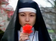 Shibolena