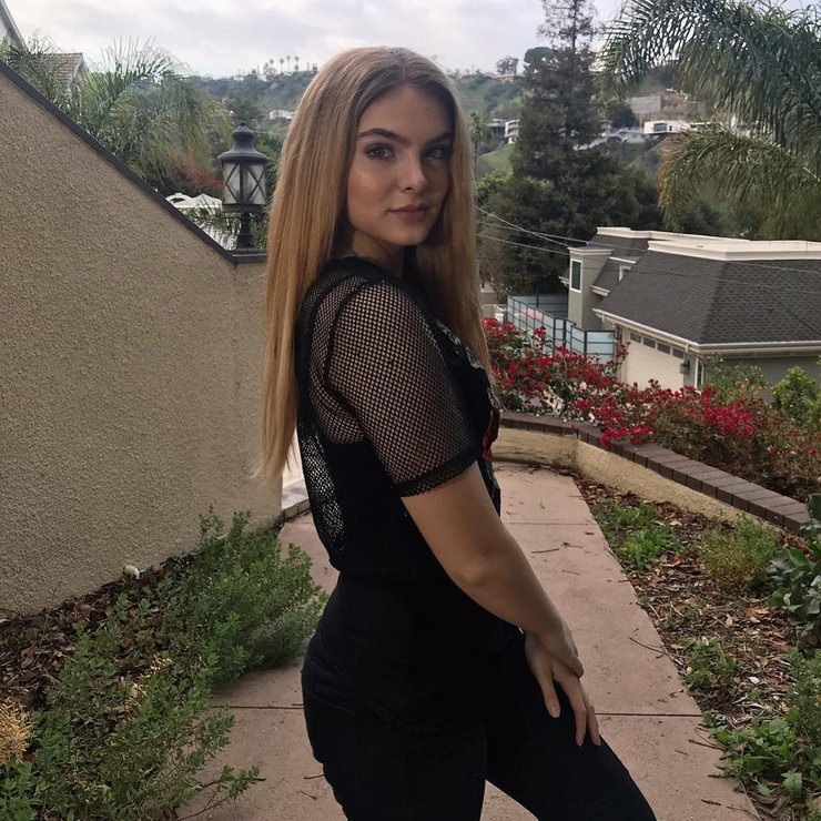 Brighton Sharbino