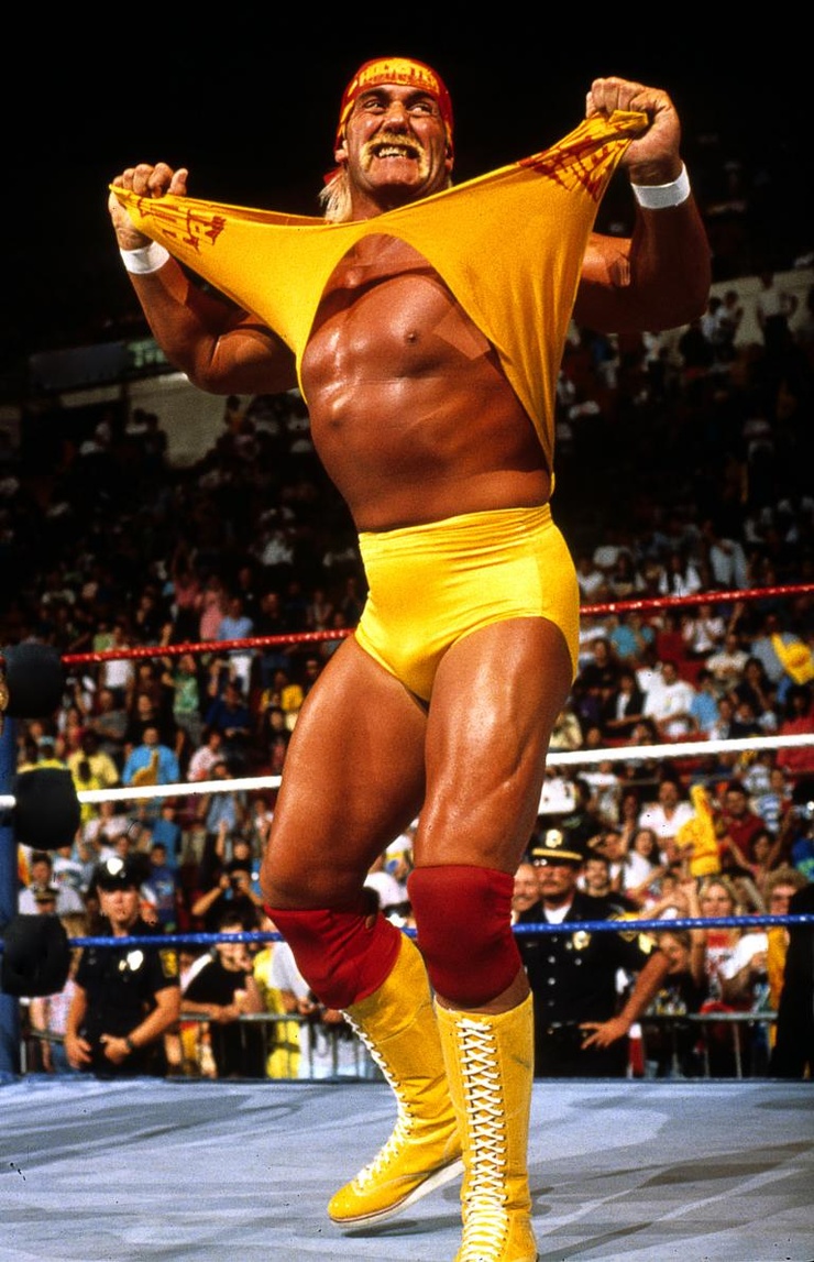 Hulk Hogan