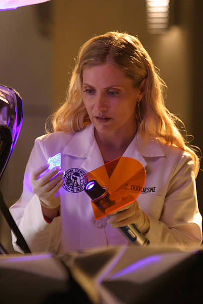 CSI: Miami
