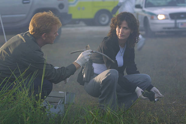 CSI: Miami