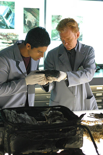 CSI: Miami