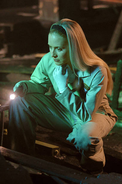 CSI: Miami
