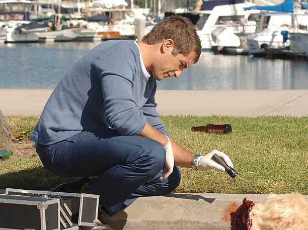 CSI: Miami