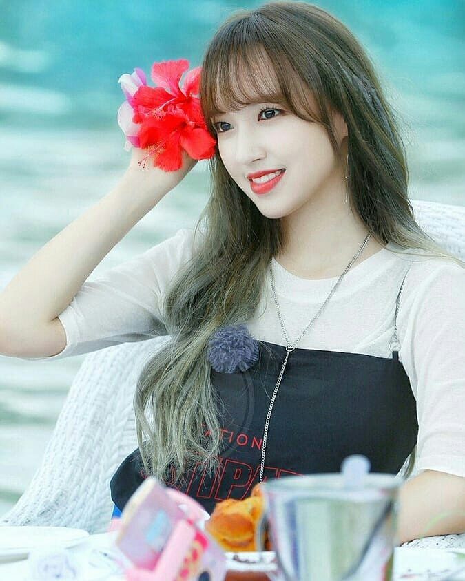 Cheng Xiao (็จ็) Cheng Xiao (็จ็)