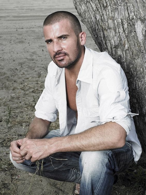 Picture of Dominic Purcell
