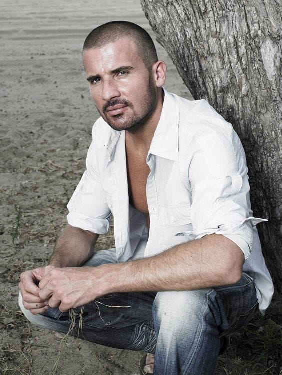 Dominic Purcell