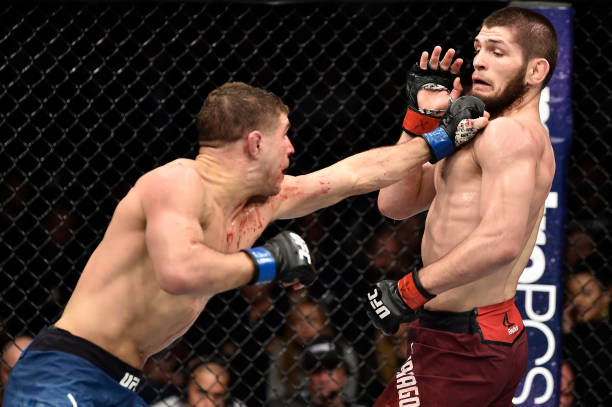 Khabib Nurmagomedov Khabib Nurmagomedov