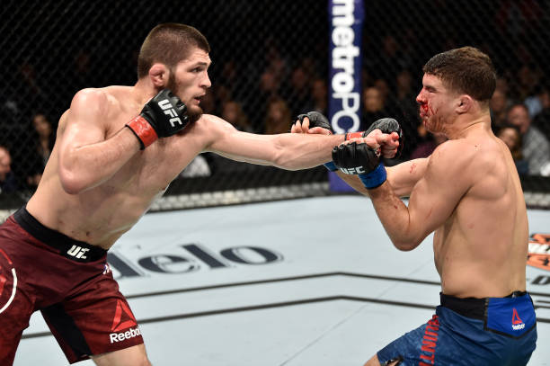 Khabib Nurmagomedov Khabib Nurmagomedov