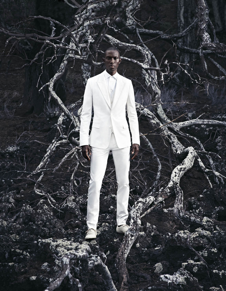 Armando Cabral