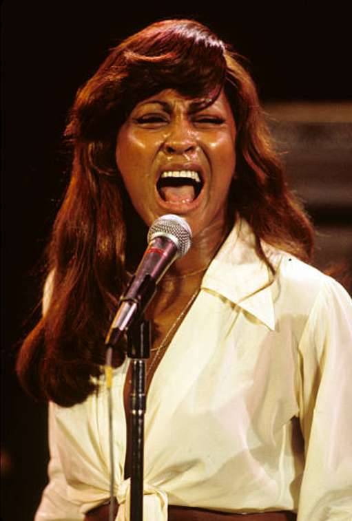 Tina Turner image