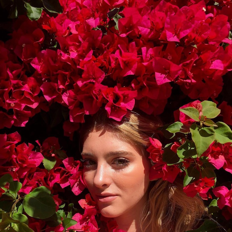 Willow Shields