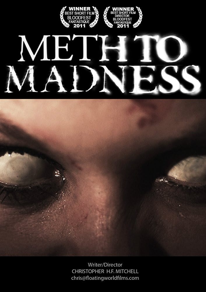 Meth to Madness