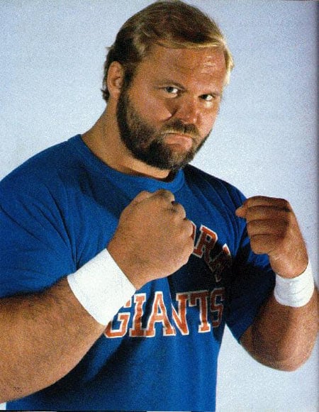 Arn Anderson