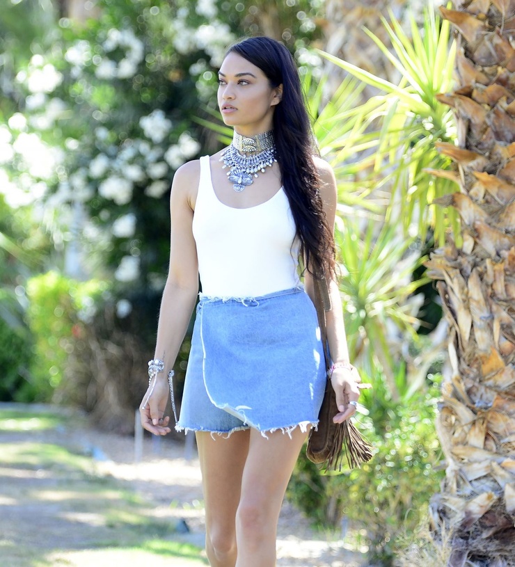 Shanina Shaik