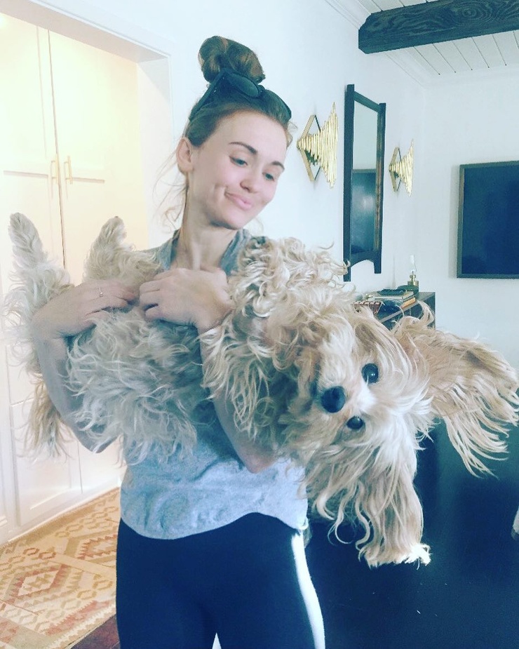 Holland Roden