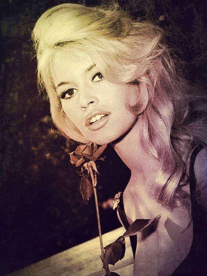 Brigitte Bardot Brigitte Bardot