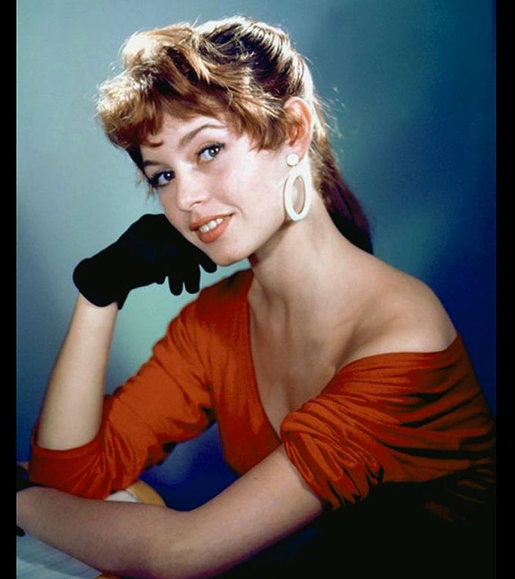 Brigitte Bardot Brigitte Bardot