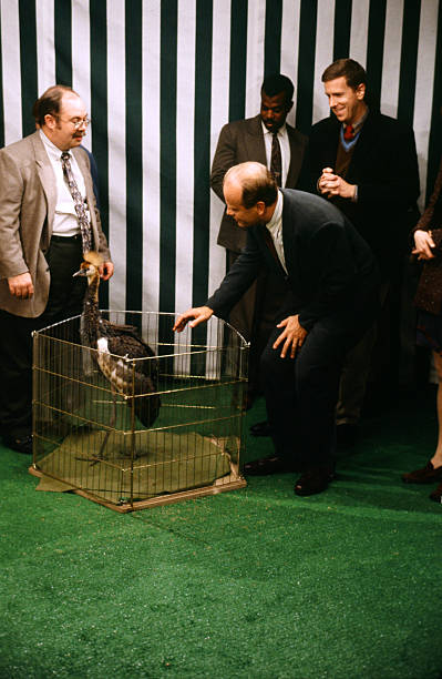 Frasier