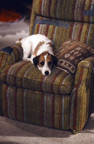 Frasier
