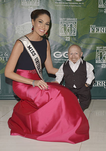 Verne Troyer