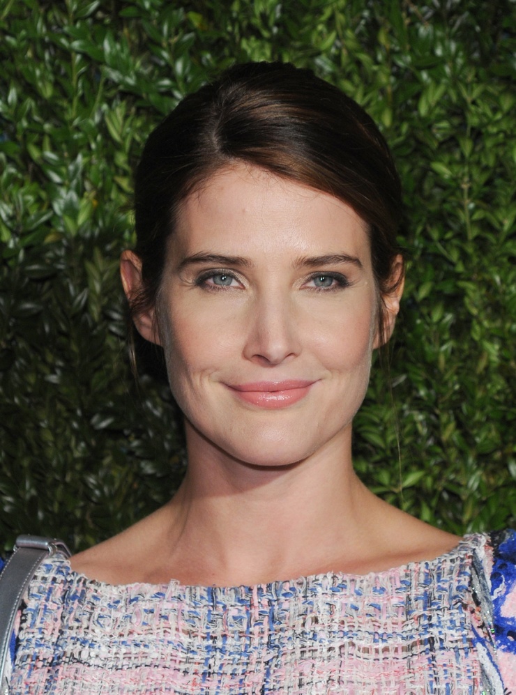Picture of Cobie Smulders