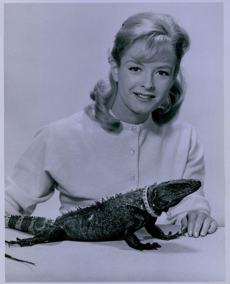 Carole Wells