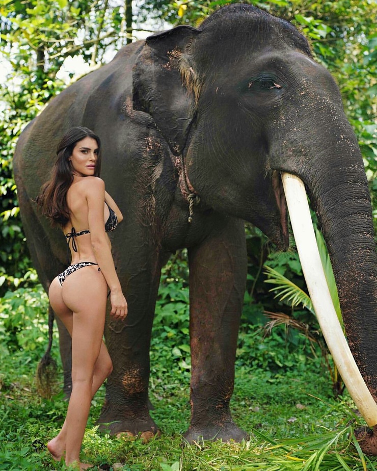 Silvia Caruso Silvia Caruso