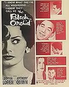 The Black Orchid