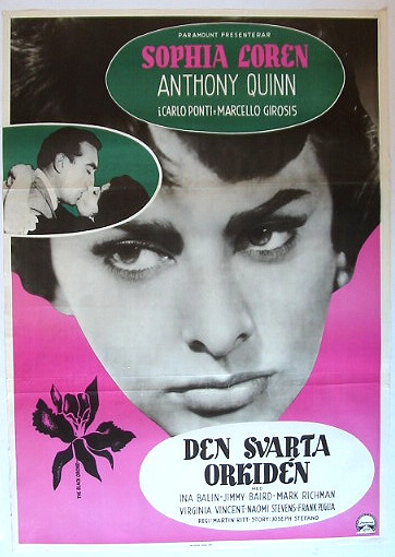 The Black Orchid