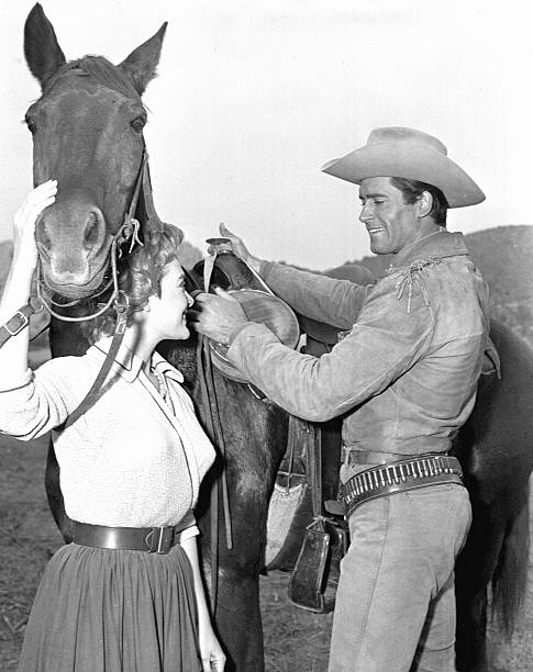 Diane Brewster