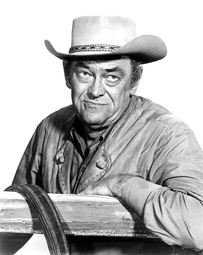 Wagon Train