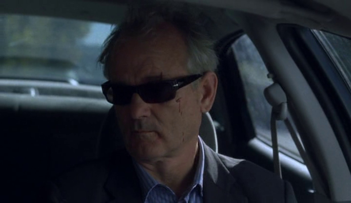 Broken Flowers