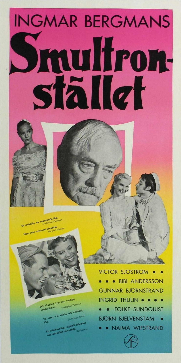 Wild Strawberries