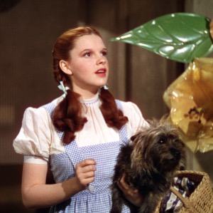 Dorothy Gale (Judy Garland)