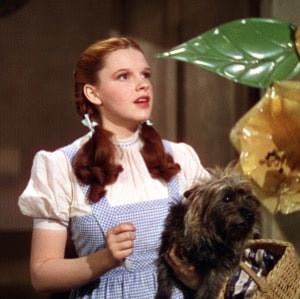 Image of Dorothy Gale (Judy Garland)