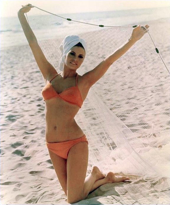 Raquel Welch