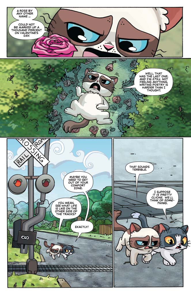 Grumpy Cat & Pokey Grumpy Cat & Pokey
