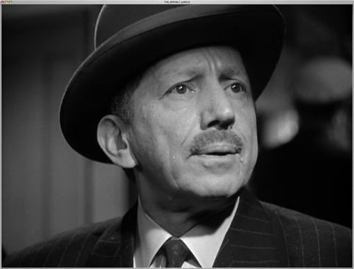 The Asphalt Jungle