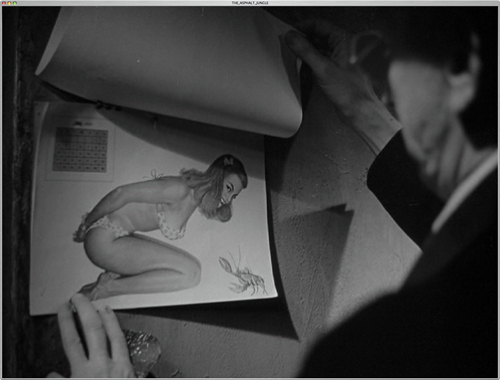 The Asphalt Jungle The Asphalt Jungle