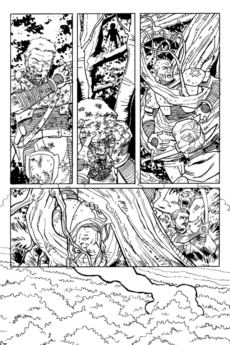 King: Jungle Jim