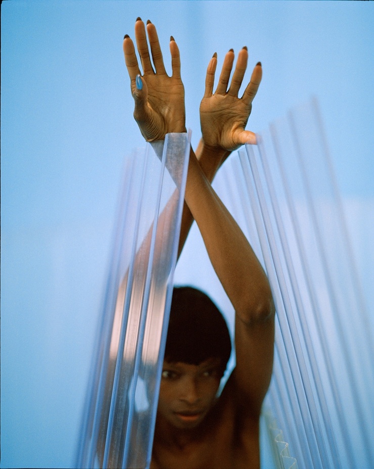 Debra Shaw