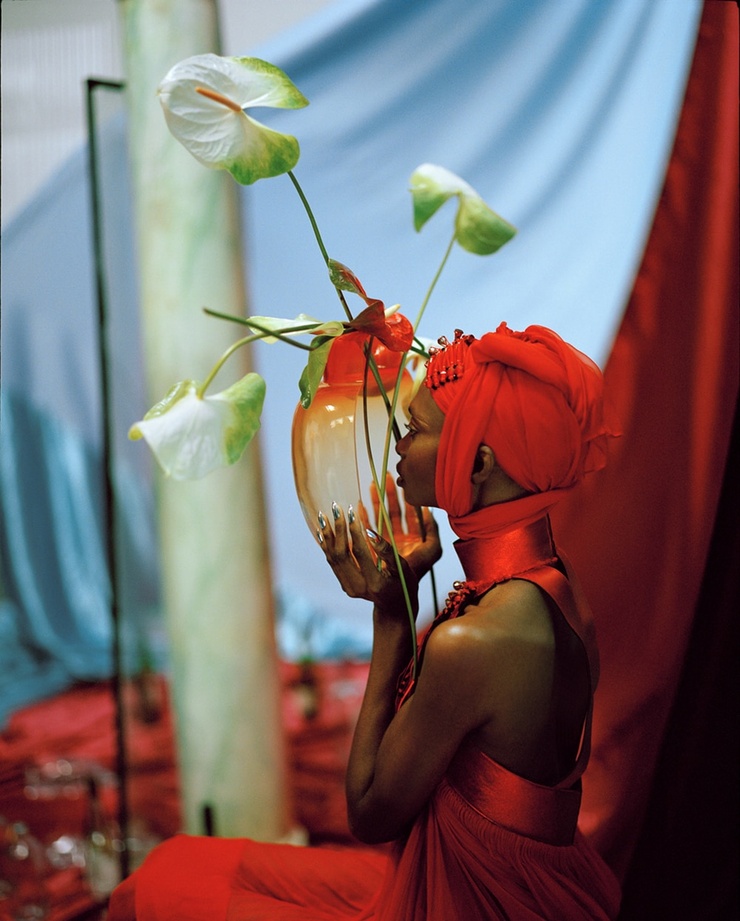 Debra Shaw