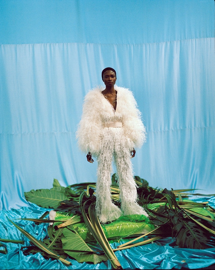 Debra Shaw