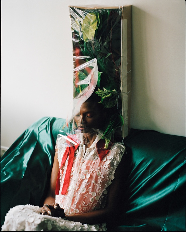 Debra Shaw