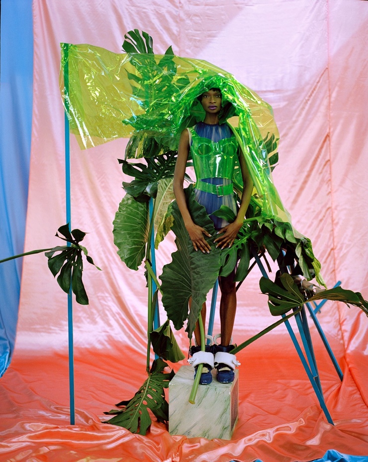 Debra Shaw