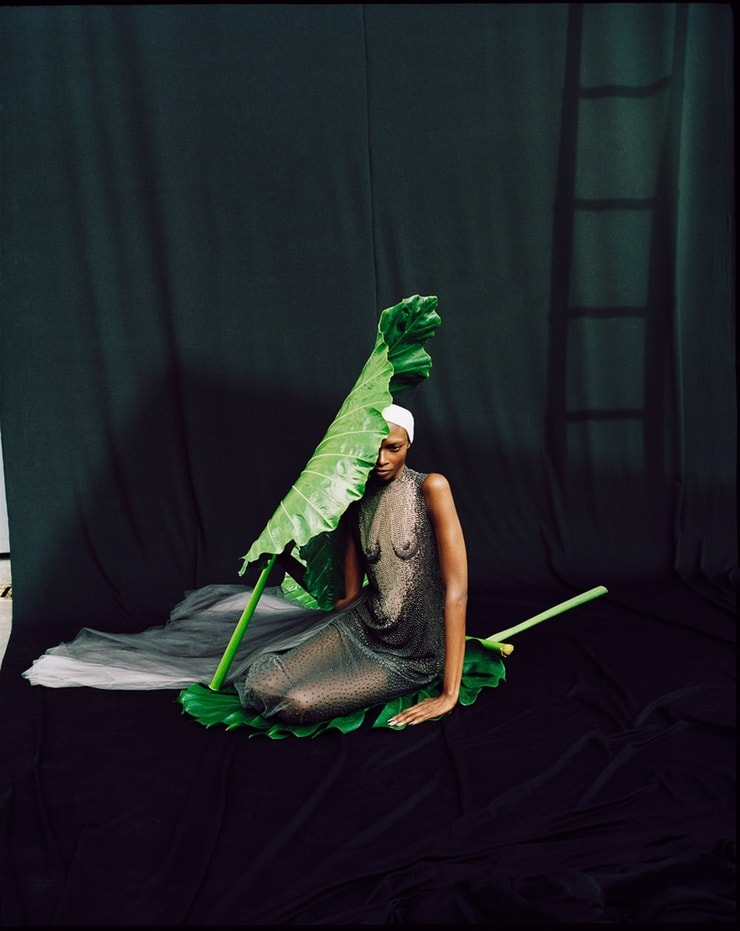 Debra Shaw